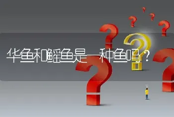 华鱼和鳐鱼是一种鱼吗？