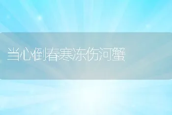 肥猪出栏体重115千克以上划算吗？