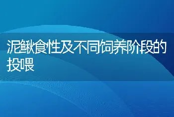 泥鳅食性及不同饲养阶段的投喂