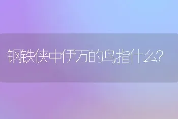 钢铁侠中伊万的鸟指什么？