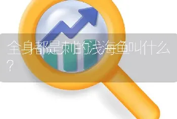 全身都是刺的浅海鱼叫什么？