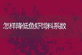 怎样降低鱼虾饲料系数