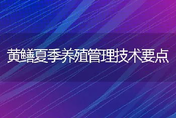 黄鳝夏季养殖管理技术要点