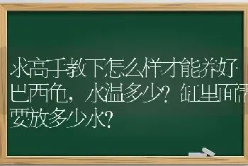 求高手教下怎么样才能养好巴西龟，水温多少?缸里面需要放多少水？