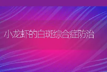 小龙虾的白斑综合症防治