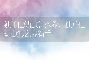 独角仙幼虫怎么养，独角仙幼虫怎么养新手