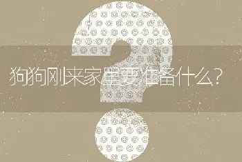 狗狗刚来家里要准备什么？