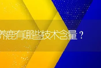 养鹿有哪些技术含量？