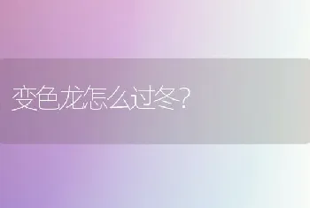 变色龙怎么过冬？