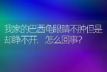 我家的巴西龟眼睛不肿但是却睁不开.怎么回事？