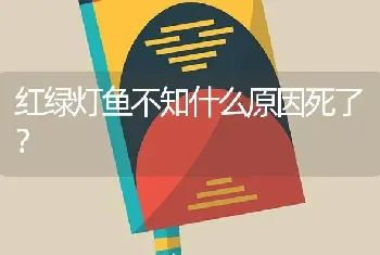 红绿灯鱼不知什么原因死了？