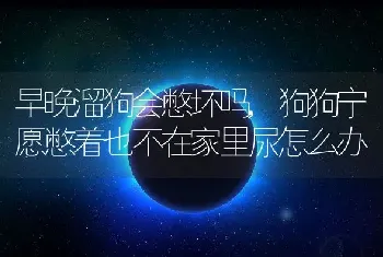 早晚溜狗会憋坏吗，狗狗宁愿憋着也不在家里尿怎么办