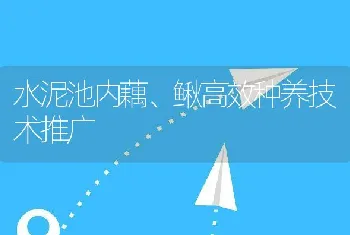 水泥池内藕、鳅高效种养技术推广