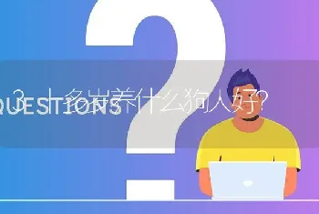 3十多岁养什么狗人好？