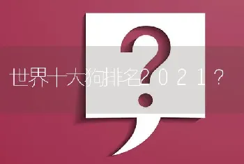 世界十大狗排名2021？