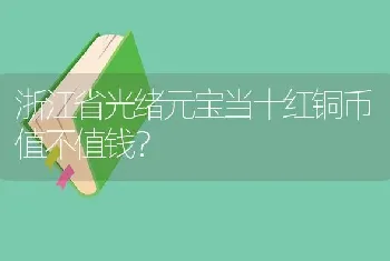 浙江省光绪元宝当十红铜币值不值钱？