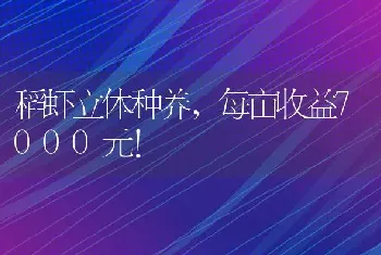 稻虾立体种养，每亩收益7000元！