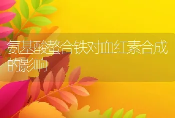 氨基酸螯合铁对血红素合成的影响