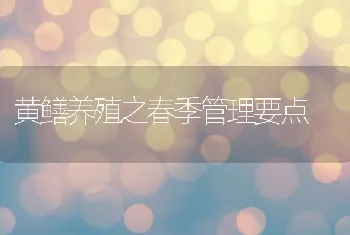 黄鳝养殖之春季管理要点