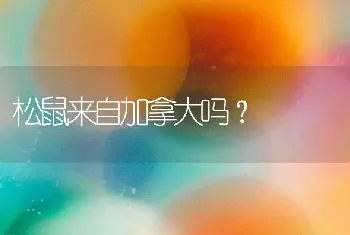 松鼠来自加拿大吗？