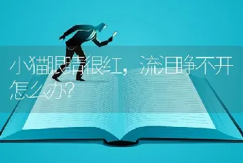 小猫眼睛很红，流泪睁不开怎么办？