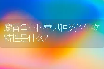 麝香龟亚科常见种类的生物特性是什么？