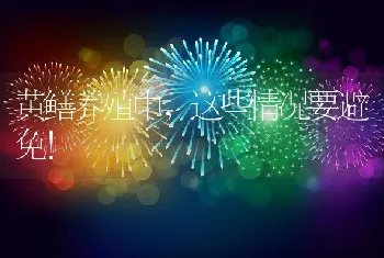 黄鳝养殖中，这些情况要避免！