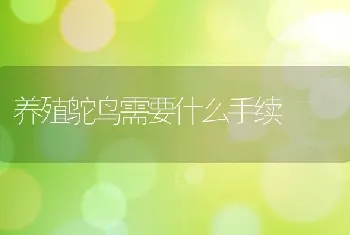 养殖鸵鸟需要什么手续