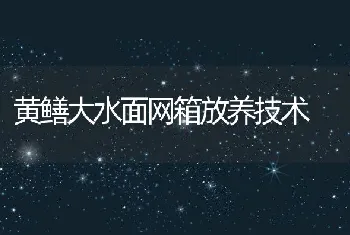 黄鳝大水面网箱放养技术