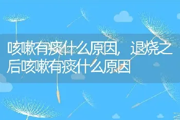 咳嗽有痰什么原因，退烧之后咳嗽有痰什么原因