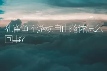 孔雀鱼不游动自由落体怎么回事？