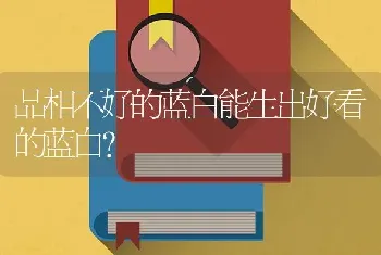 品相不好的蓝白能生出好看的蓝白？