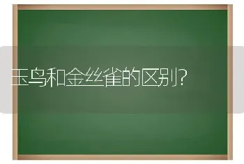 玉鸟和金丝雀的区别？