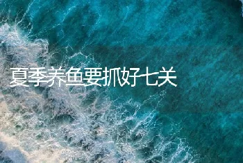 夏季养鱼要抓好七关