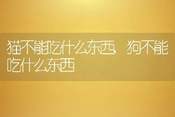 猫不能吃什么东西，狗不能吃什么东西