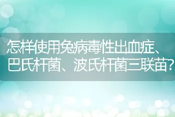 怎样使用兔病毒性出血症、巴氏杆菌、波氏杆菌三联苗？