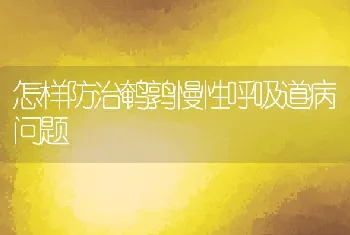 怎样防治鹌鹑慢性呼吸道病问题