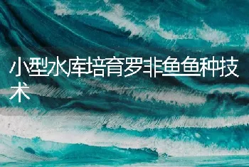 小型水库培育罗非鱼鱼种技术