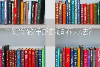 二龄金钱龟的的饲养方法？