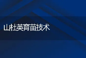 冬季蛋鸡高产蛋率饲养方法