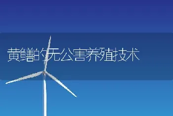 黄鳝的无公害养殖技术