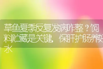 草鱼夏季反复发病咋整？饲料贮藏是关键，保肝护肠养好水