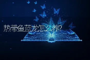 热带鱼蓝龙怎么养？