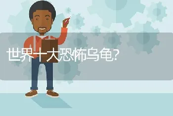 世界十大恐怖乌龟？