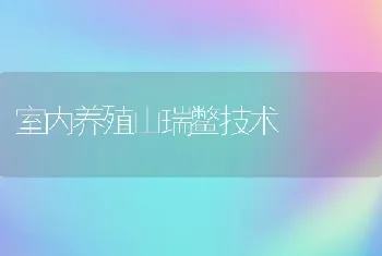 室内养殖山瑞鳖技术