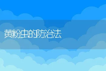 鲤鱼成鱼池搭养技术