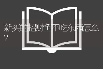 新买的招财鱼不吃东西怎么？