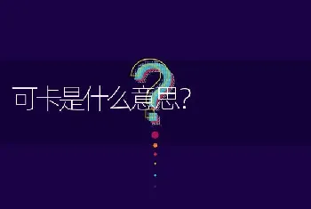 可卡是什么意思？