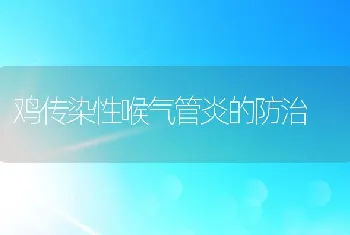 鸡传染性喉气管炎的防治