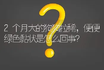 请问博美和比熊、泰迪那种好？